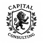 Capital Credit Consulting logo